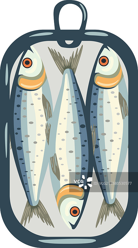 三条沙丁鱼在罐头里图片素材