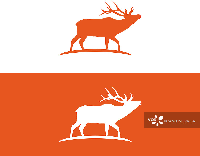 沼泽中的驼鹿图片素材