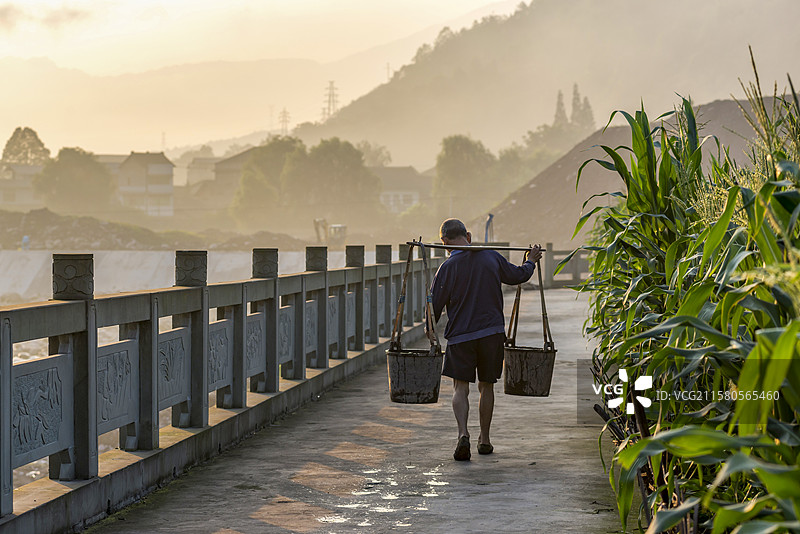 清晨老农辛勤劳作挑粪的农民图片素材