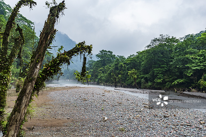 龙苍沟森林公园静谧山水间溪流生态画卷图片素材