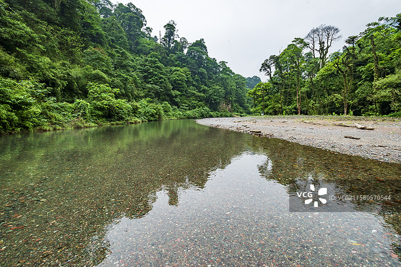 龙苍沟森林公园静谧山水间溪流生态画卷图片素材