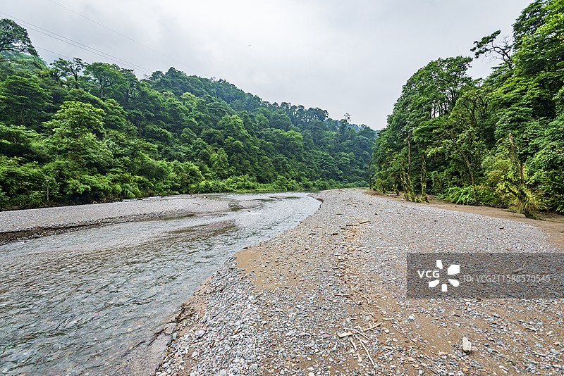 龙苍沟森林公园静谧山水间溪流生态画卷图片素材