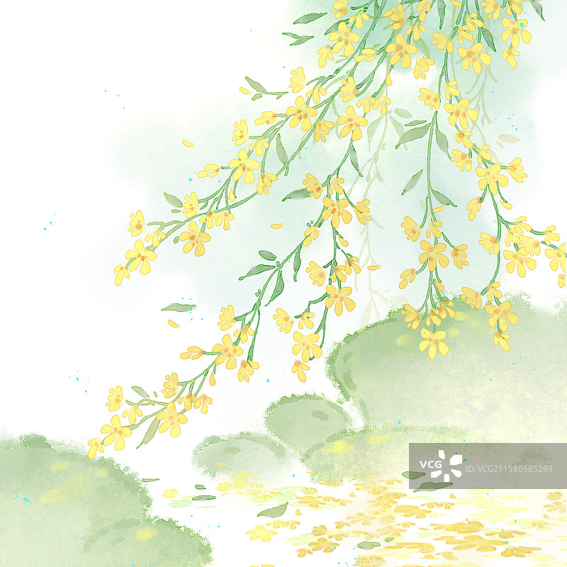 立春迎春花图片素材