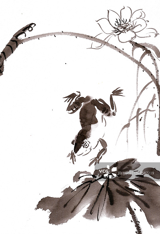 觅食的青蛙图片素材