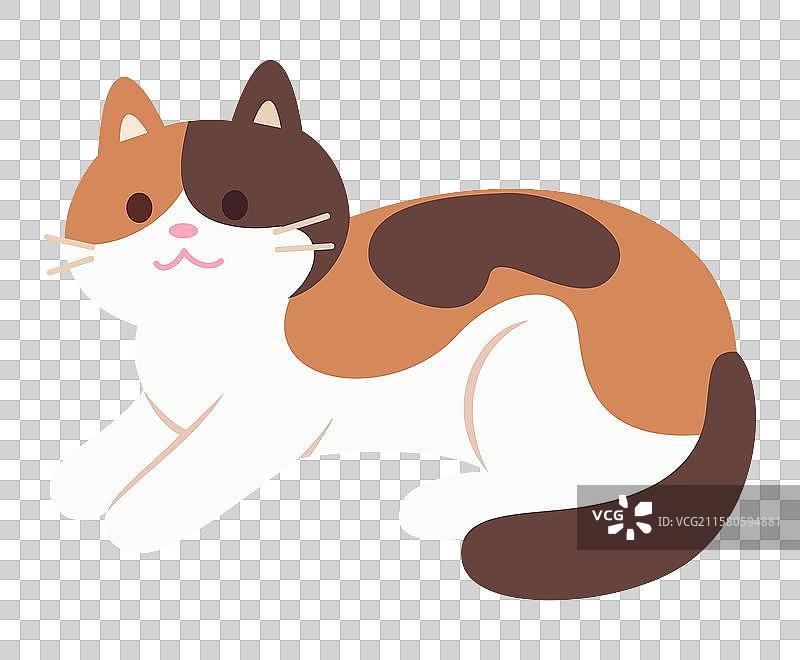 可爱的卡通三花猫图片素材