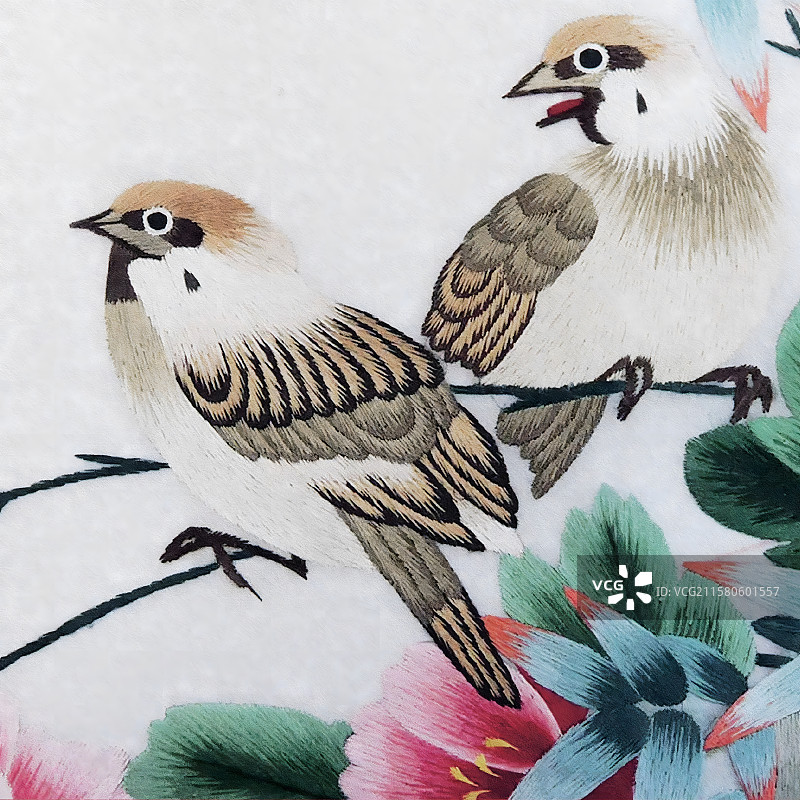 非遗，刺绣，开封，汴绣，花鸟图片素材