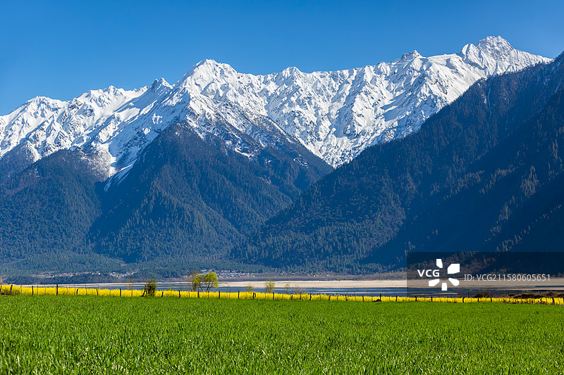 西藏林芝市波密县易贡乡春天的风景图片素材