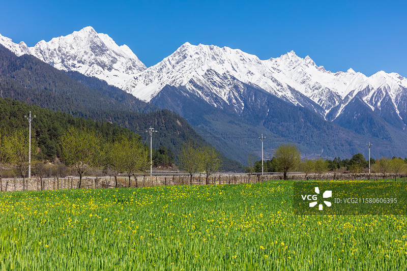 西藏林芝市波密县易贡乡春天的风景图片素材