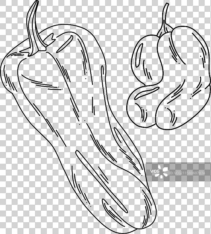 不同种类的铃铛图片素材