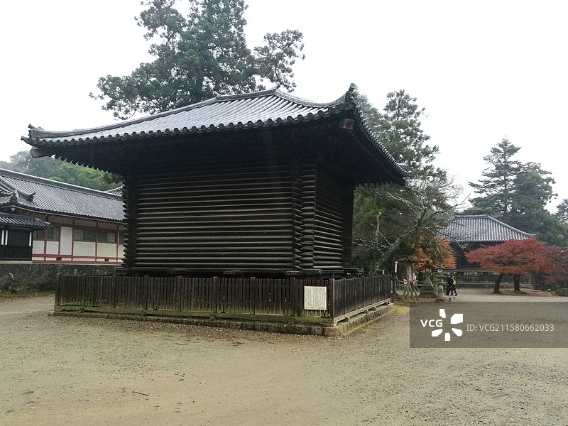 日本奈良东大寺秋天小鹿红叶八幡宫手向山神社二月堂三月堂正仓院法华堂等佛菩萨金刚力士像等图片素材