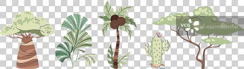 一组非洲树木在白色背景上图片素材