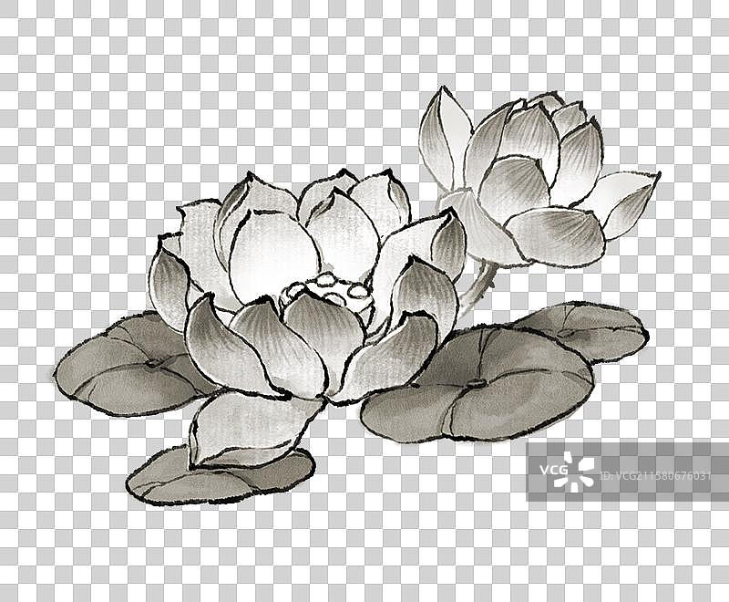 国风古风水墨元素-夏日荷花图片素材