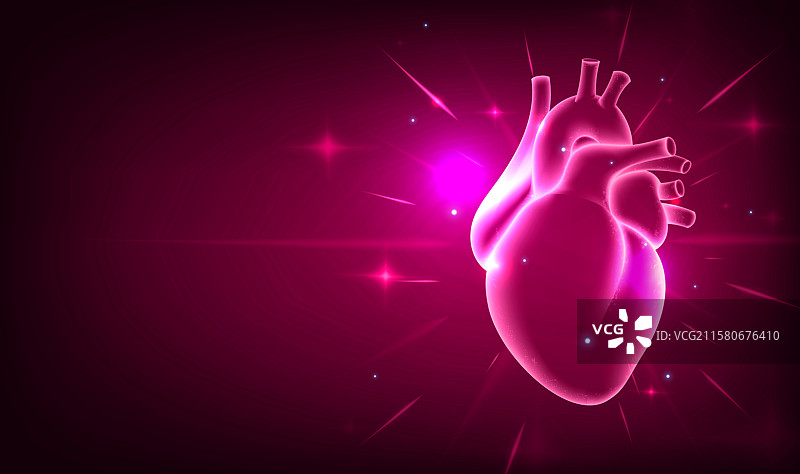 红色科技感医疗健康插图心脏健康图片素材