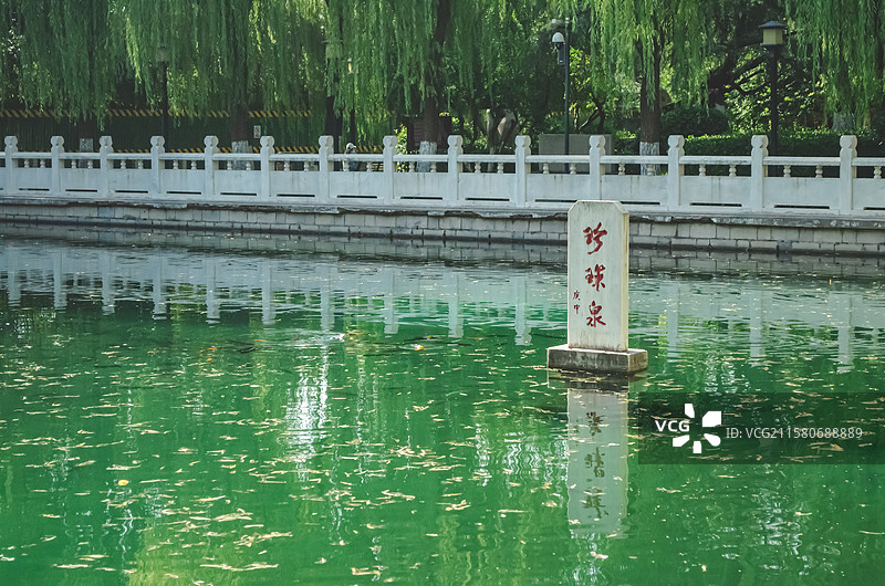 中国5A级旅游景区拍摄主题，山东省济南市珍珠泉著名景点池塘，户外白昼无人图像摄影图片素材