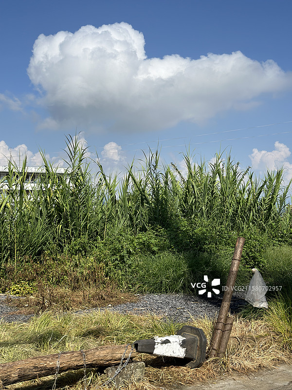 云南保山腾冲和顺古镇 晴天蓝天白云与路边的草堆图片素材