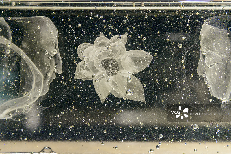 秦皇岛市玻璃博物馆图片素材