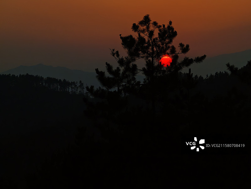 落日归山 桃花冲林场图片素材