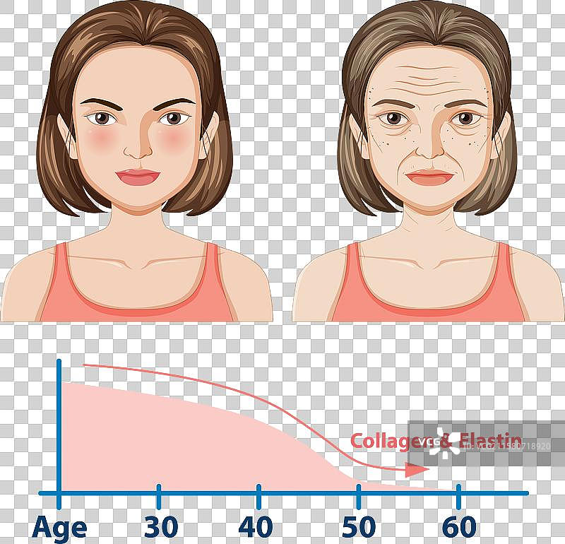 展示皮肤老化和胶原蛋白减少图片素材