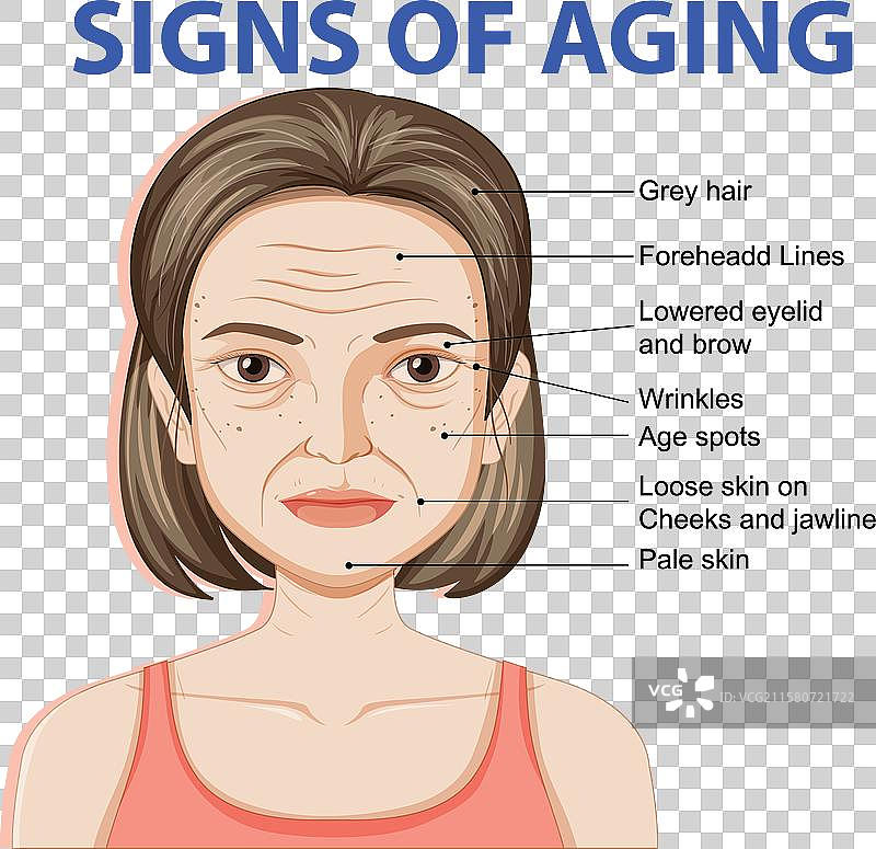 常见衰老迹象的视觉表现图片素材