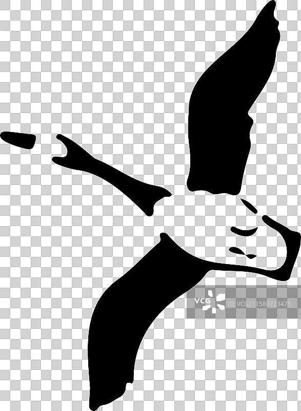 动物 装饰 元素 手绘 鸟 秋天 立秋 秋分 大雁 白露 寒露图片素材