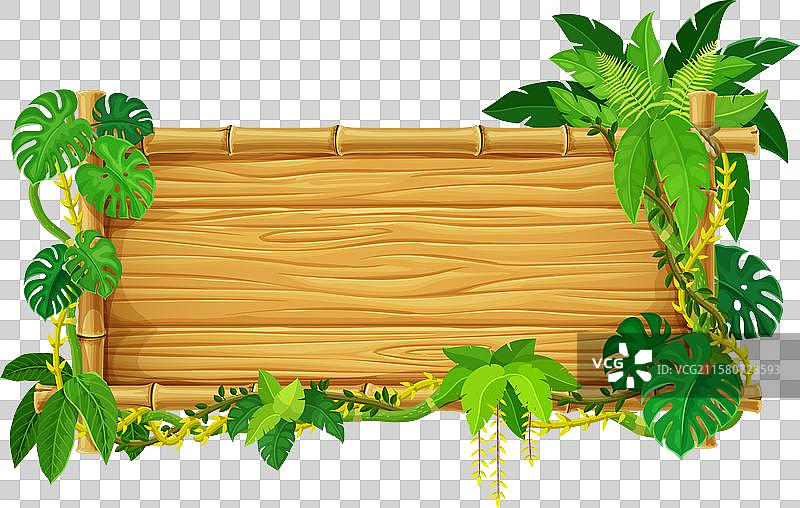热带竹框，配有丛林藤蔓和叶子图片素材