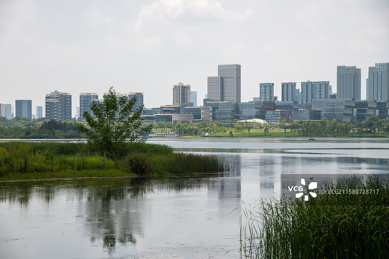 四川天府新区兴隆湖湿地公园图片素材