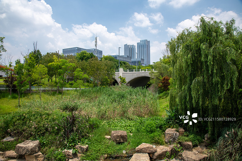 四川天府新区兴隆湖湿地公园云桥图片素材
