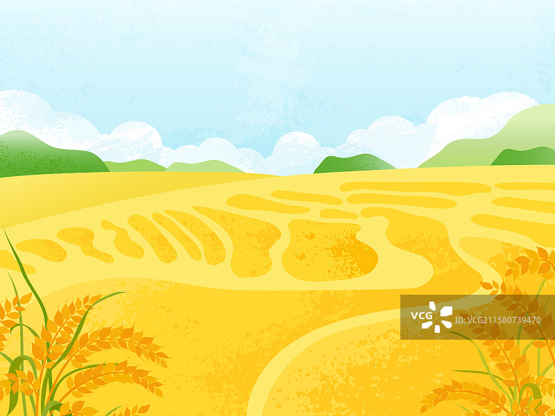 秋季丰收的水稻田成熟的麦穗图片素材