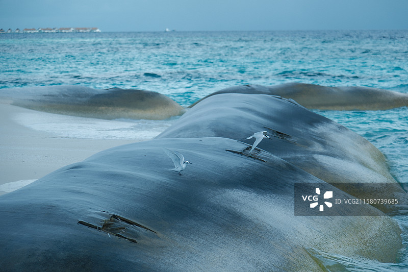 马尔代夫海上风光图片素材