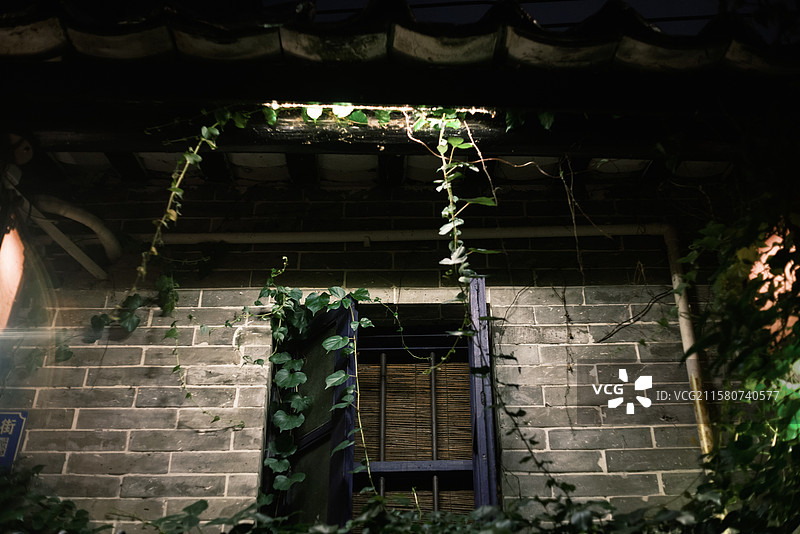 泮塘村夜景图片素材