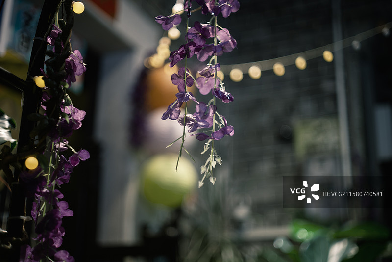 泮塘村夜景图片素材