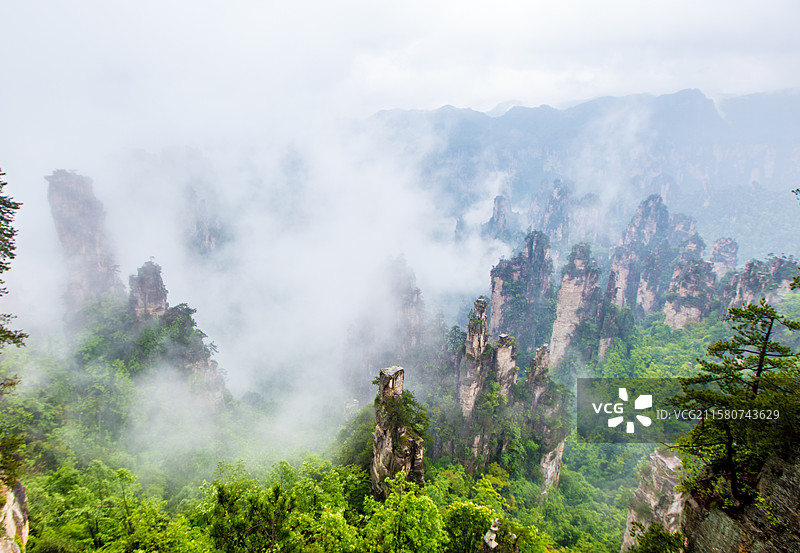 张家界“扩大的盆景，缩小的仙境”图片素材