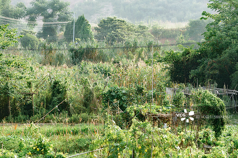 城市的空地图片素材