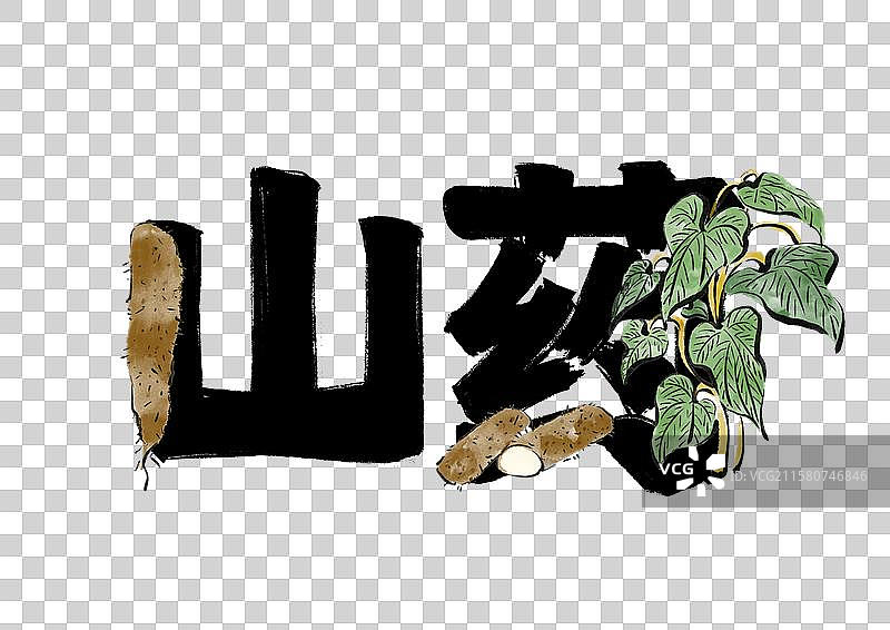 水墨中医药插画文字元素-山药图片素材