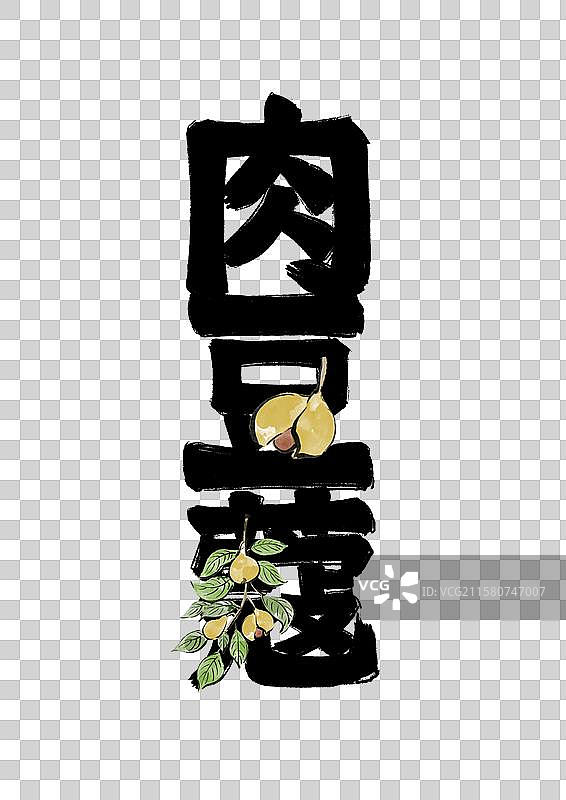 水墨中医药插画文字元素-肉豆蔻图片素材