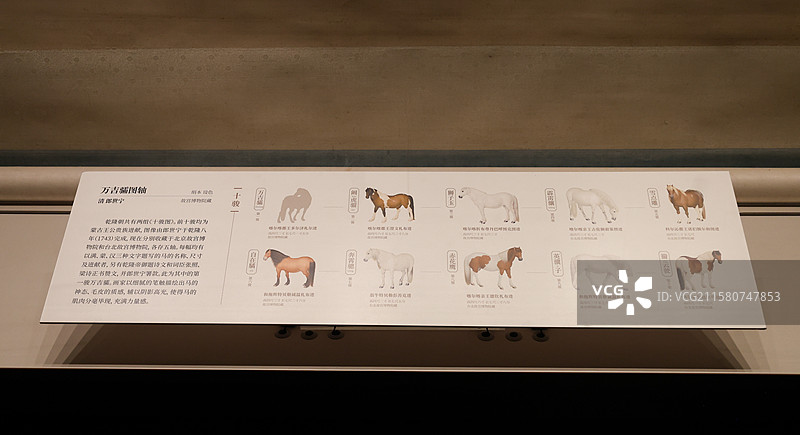 万吉骦图轴清乾隆郎世宁十骏图万物和生画展故宫博物院藏动物题材绘画特展图片素材