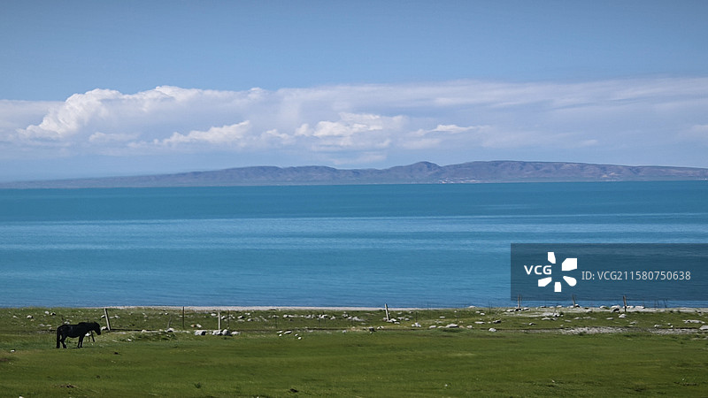 青海湖边高山草甸图片素材