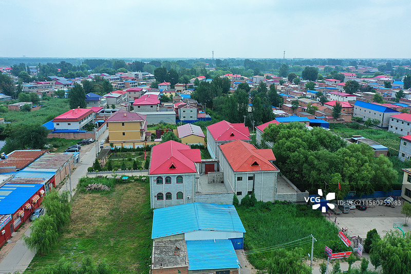 出水芙蓉娇艳香，鱼游翠鸟叶下藏  荷塘芦苇接天碧，蓝天绿水夏日凉  雁鹭低飞野鸭荡，蛙坐睡莲高声唱图片素材