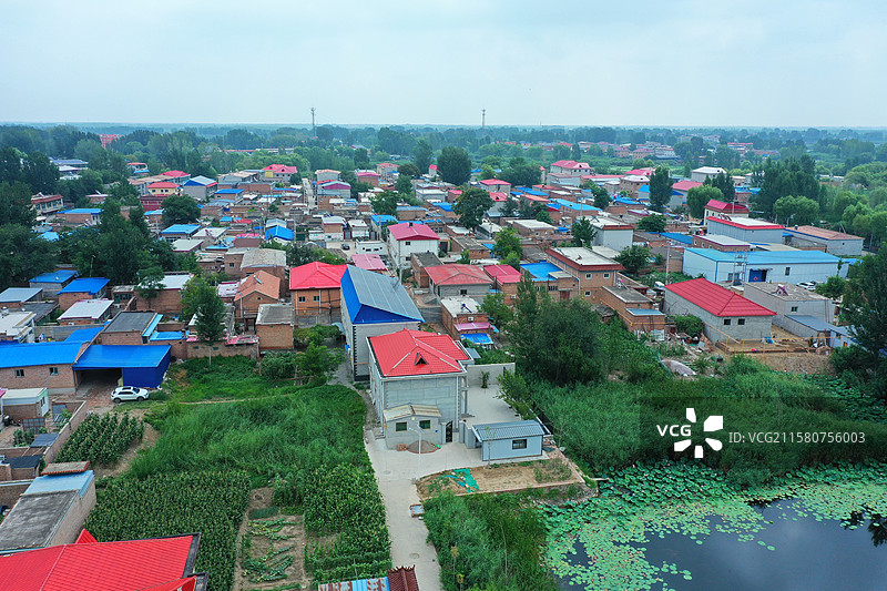 出水芙蓉娇艳香，鱼游翠鸟叶下藏  荷塘芦苇接天碧，蓝天绿水夏日凉  雁鹭低飞野鸭荡，蛙坐睡莲高声唱图片素材