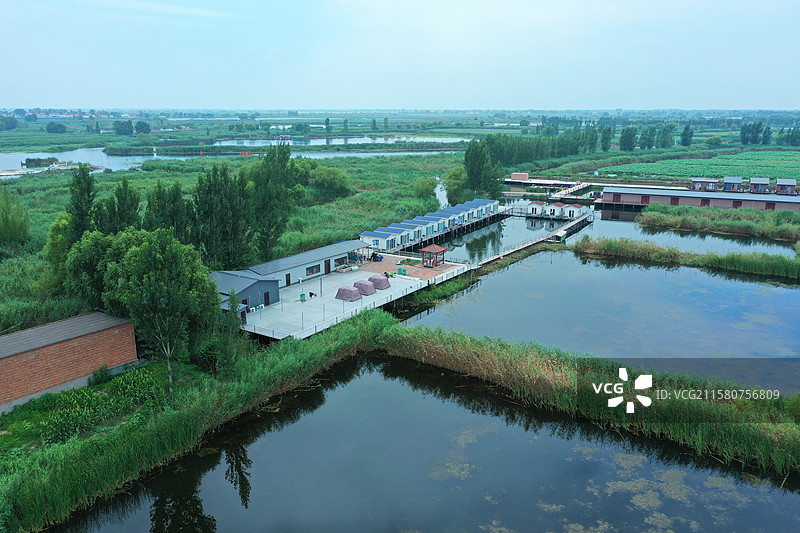 出水芙蓉娇艳香，鱼游翠鸟叶下藏  荷塘芦苇接天碧，蓝天绿水夏日凉  雁鹭低飞野鸭荡，蛙坐睡莲高声唱图片素材