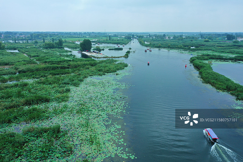 出水芙蓉娇艳香，鱼游翠鸟叶下藏  荷塘芦苇接天碧，蓝天绿水夏日凉  雁鹭低飞野鸭荡，蛙坐睡莲高声唱图片素材