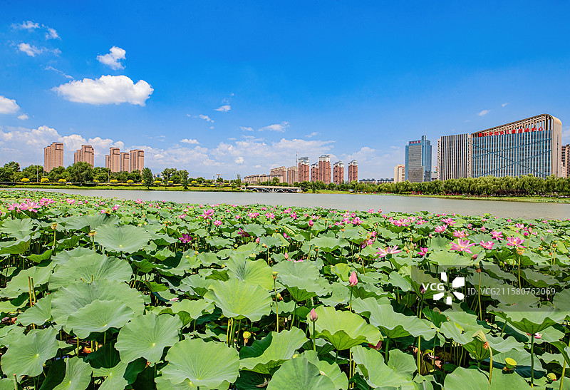 宁夏银川华雁湖夏日美景图片素材