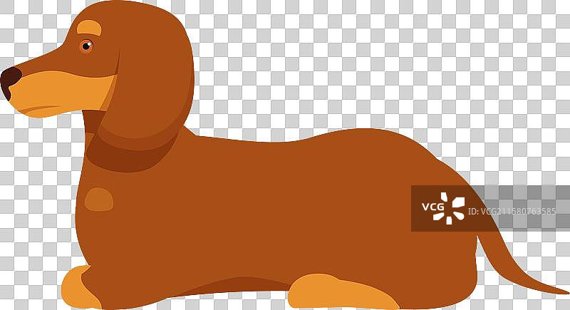 棕色腊肠犬侧卧的姿势图片素材