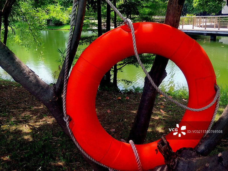 救生圈、树、草坪、植物、湖、景观、城市图片素材
