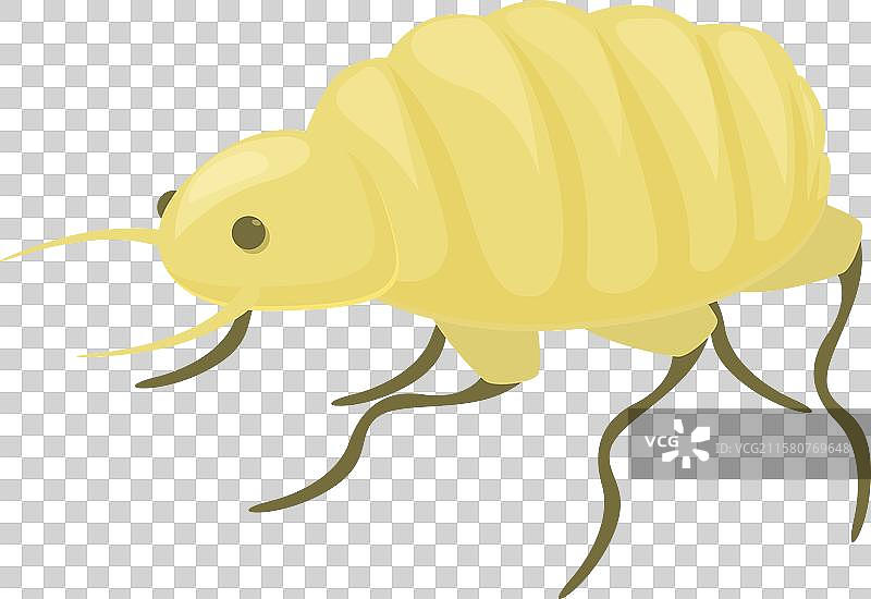 黄色线虫幼虫在白色背景上爬行图片素材