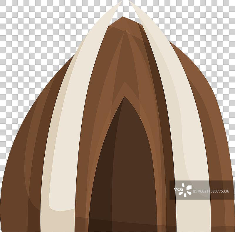 单颗向日葵种子孤立展示其种仁图片素材