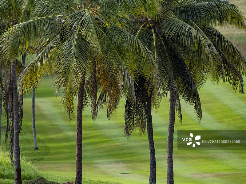 斯里兰卡自然风光图片素材