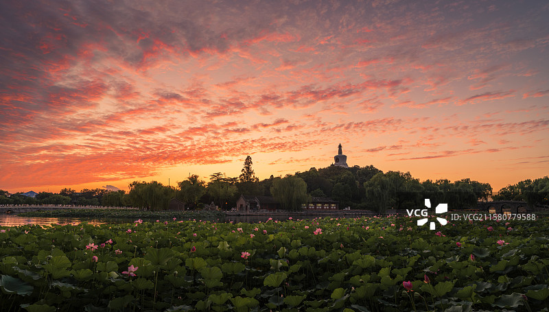 莲焰灼空图片素材