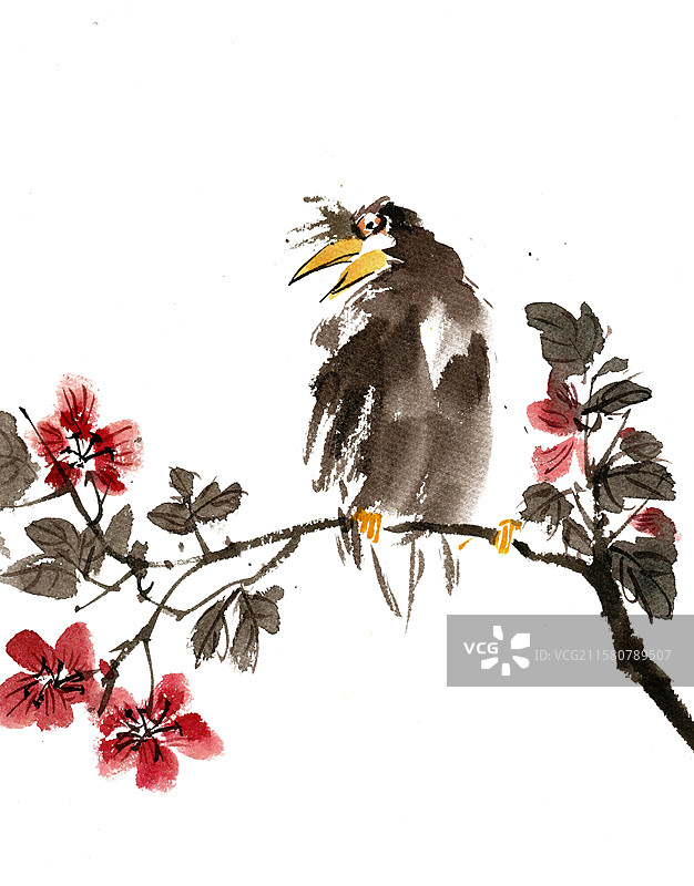 小鸟与蜀葵花图片素材