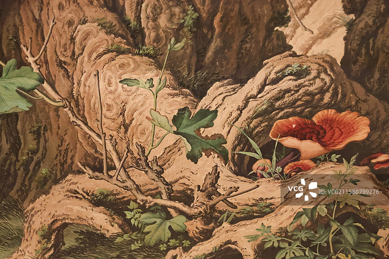 嵩献英芝图轴清代郎世宁万物和生画展故宫博物院藏动物题材绘画特展图片素材